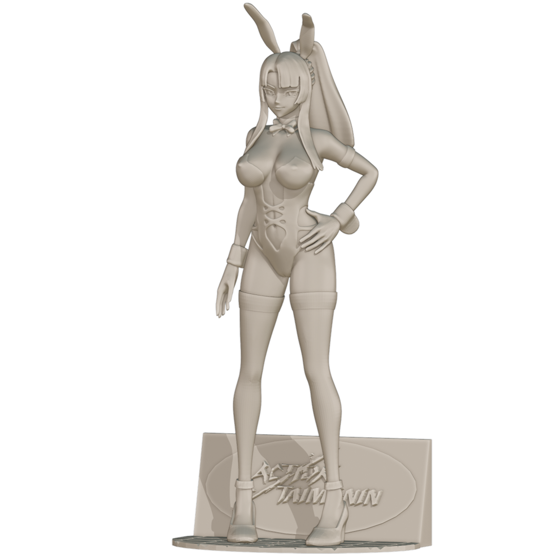 1821 Yatsu Murasaki_Action Taimanin - STL 3D Print Files