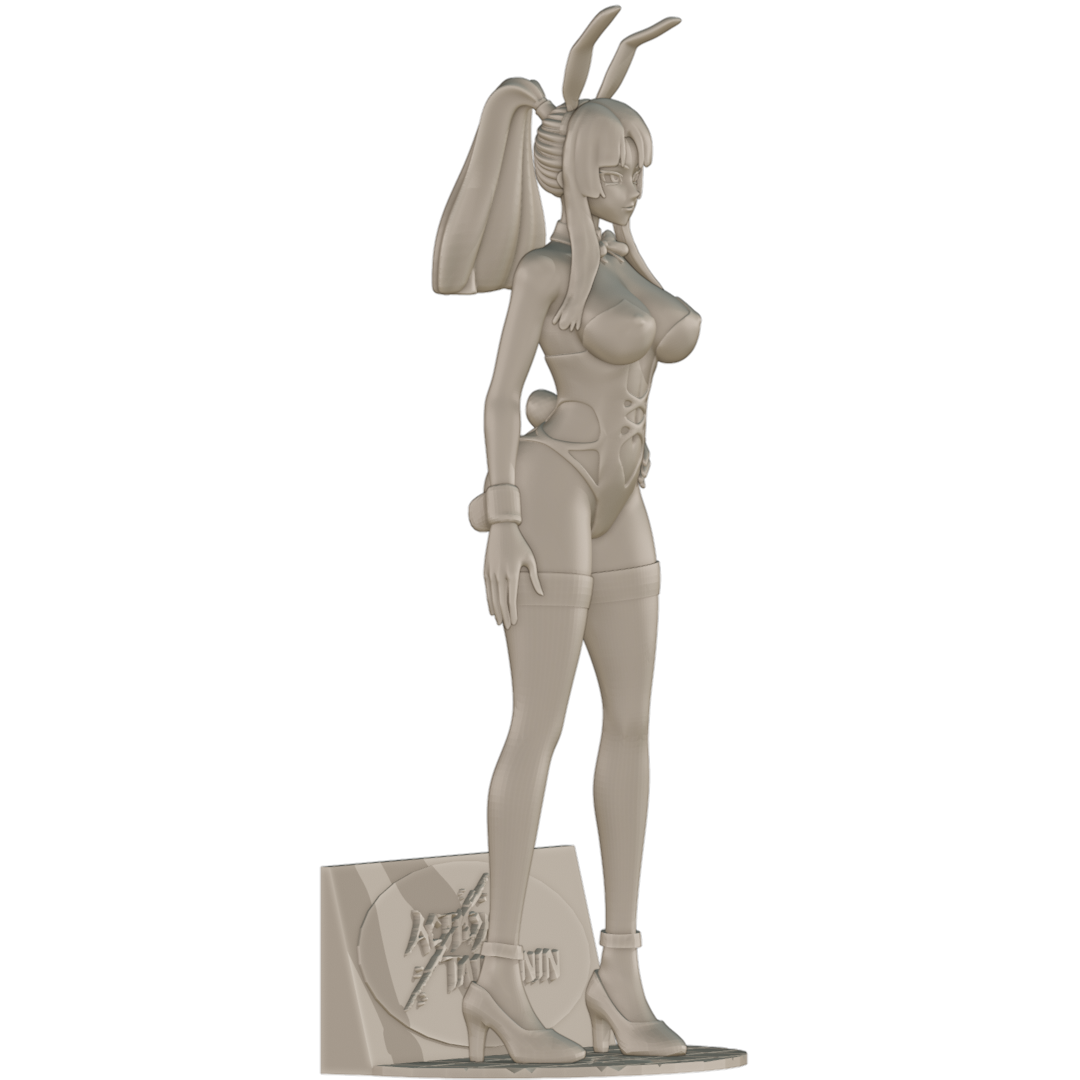 1821 Yatsu Murasaki_Action Taimanin - STL 3D Print Files