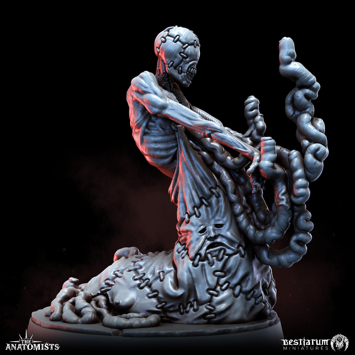 1903 The Anatomists Return_June2026 BM - STL 3D Print Files