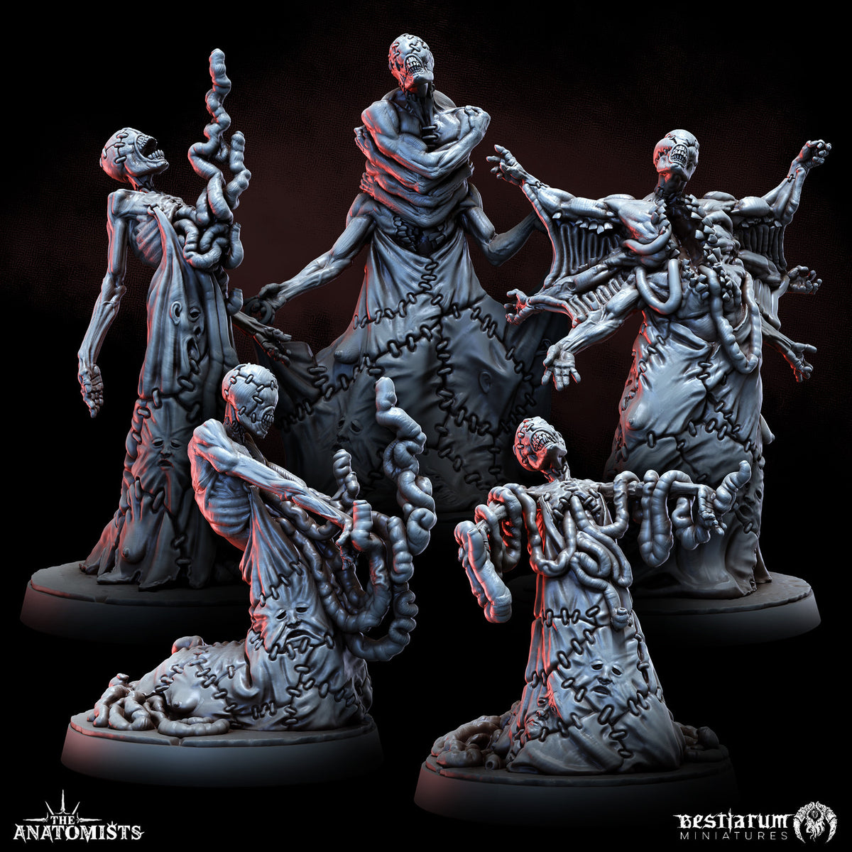 1903 The Anatomists Return_June2026 BM - STL 3D Print Files
