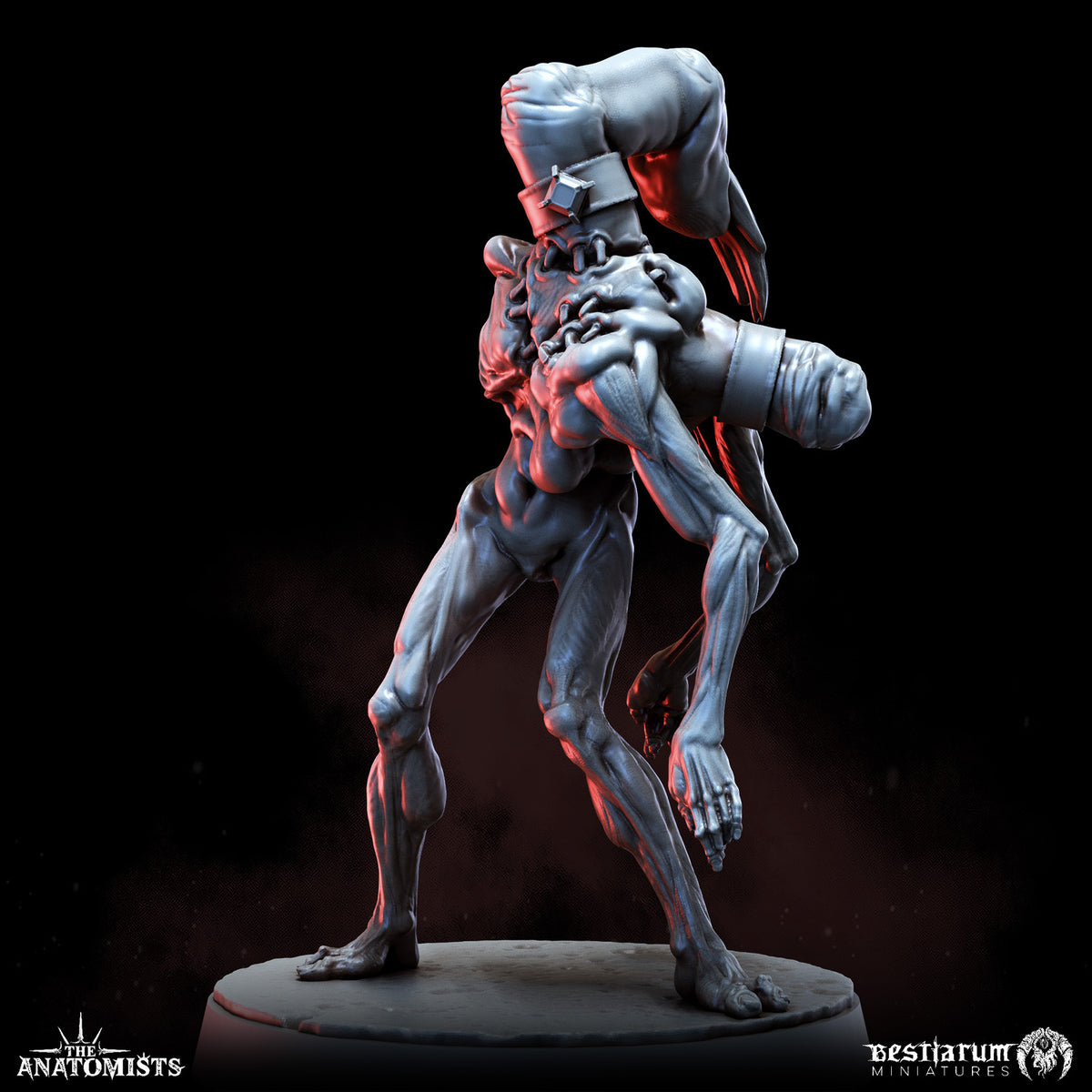 1903 The Anatomists Return_June2026 BM - STL 3D Print Files