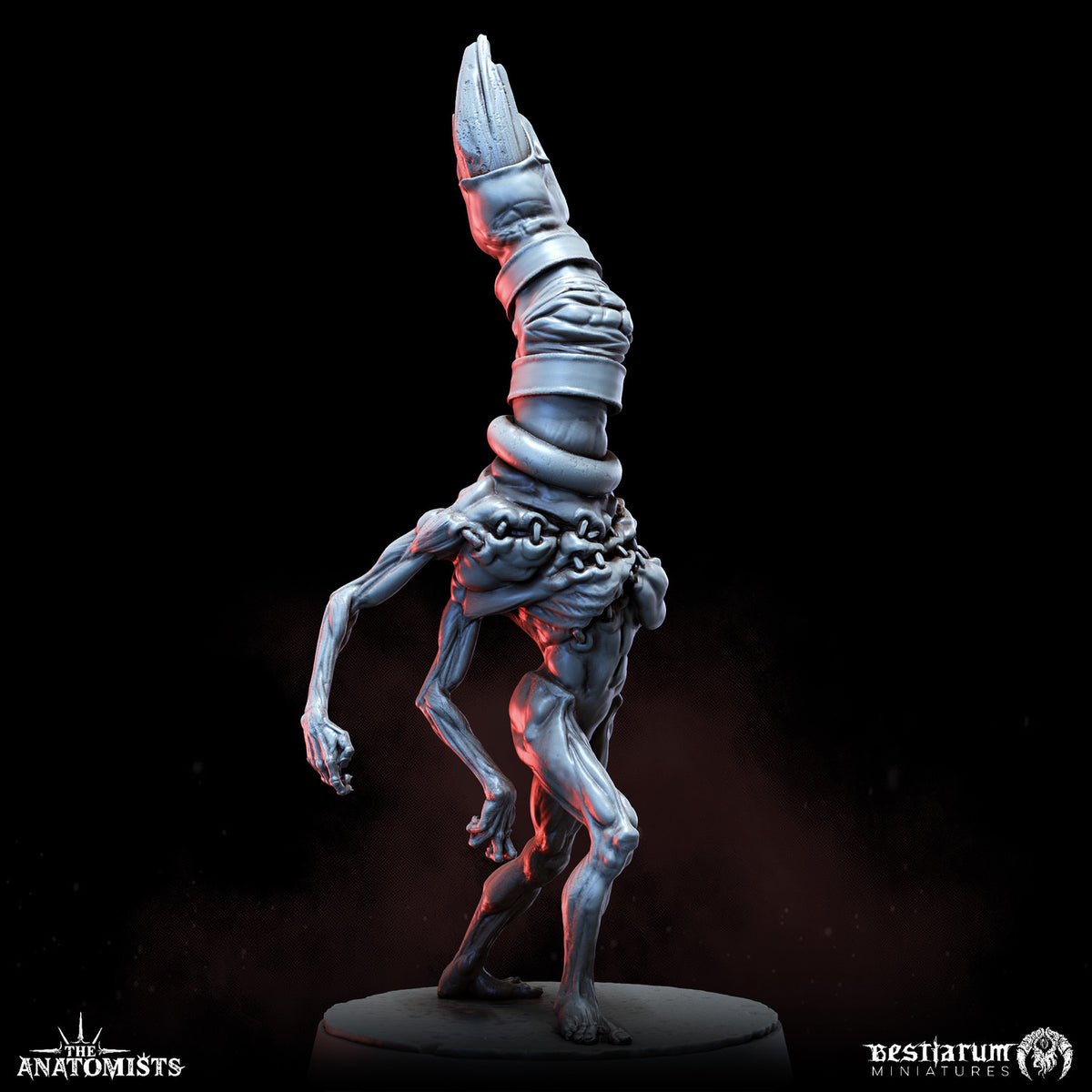 1903 The Anatomists Return_June2026 BM - STL 3D Print Files