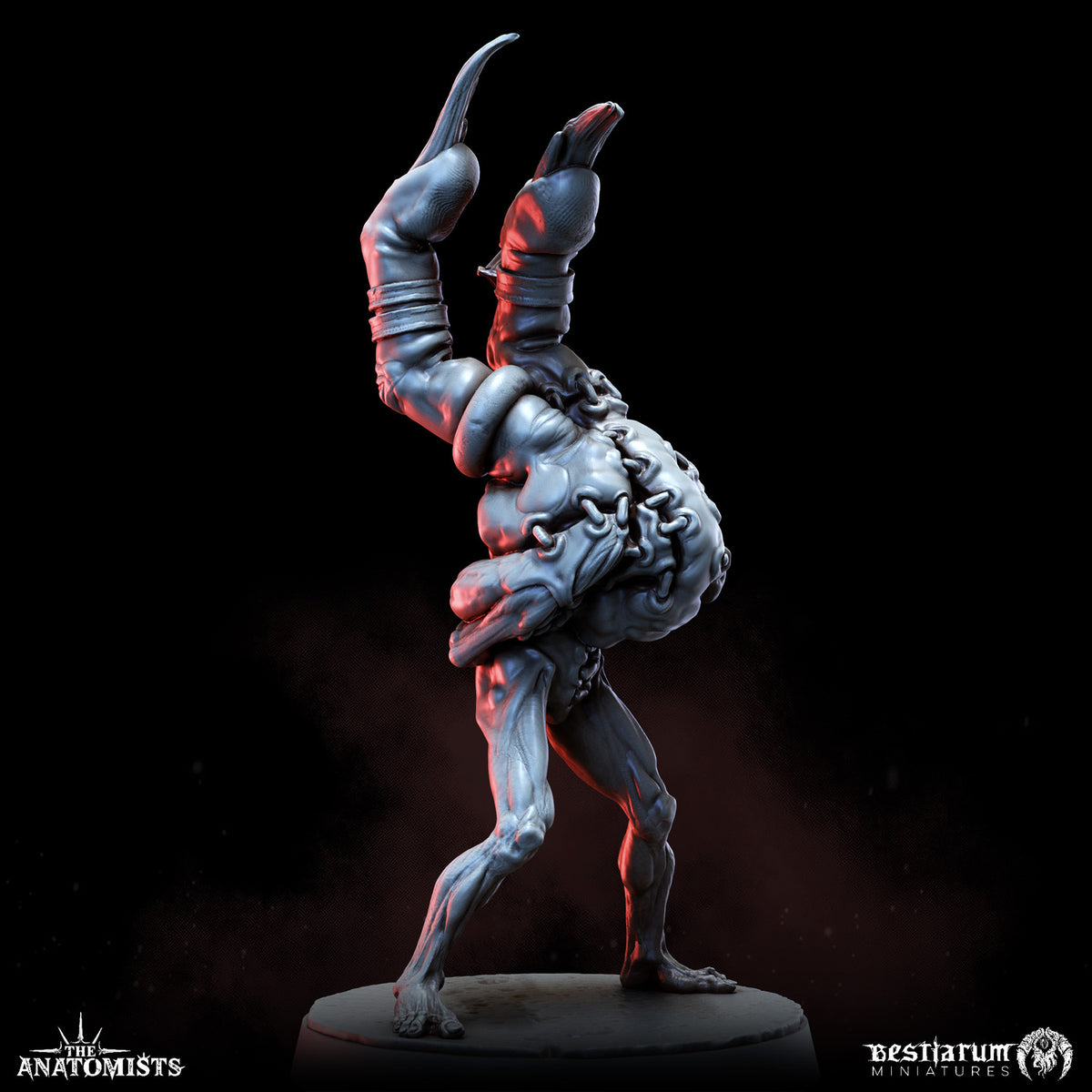 1903 The Anatomists Return_June2026 BM - STL 3D Print Files