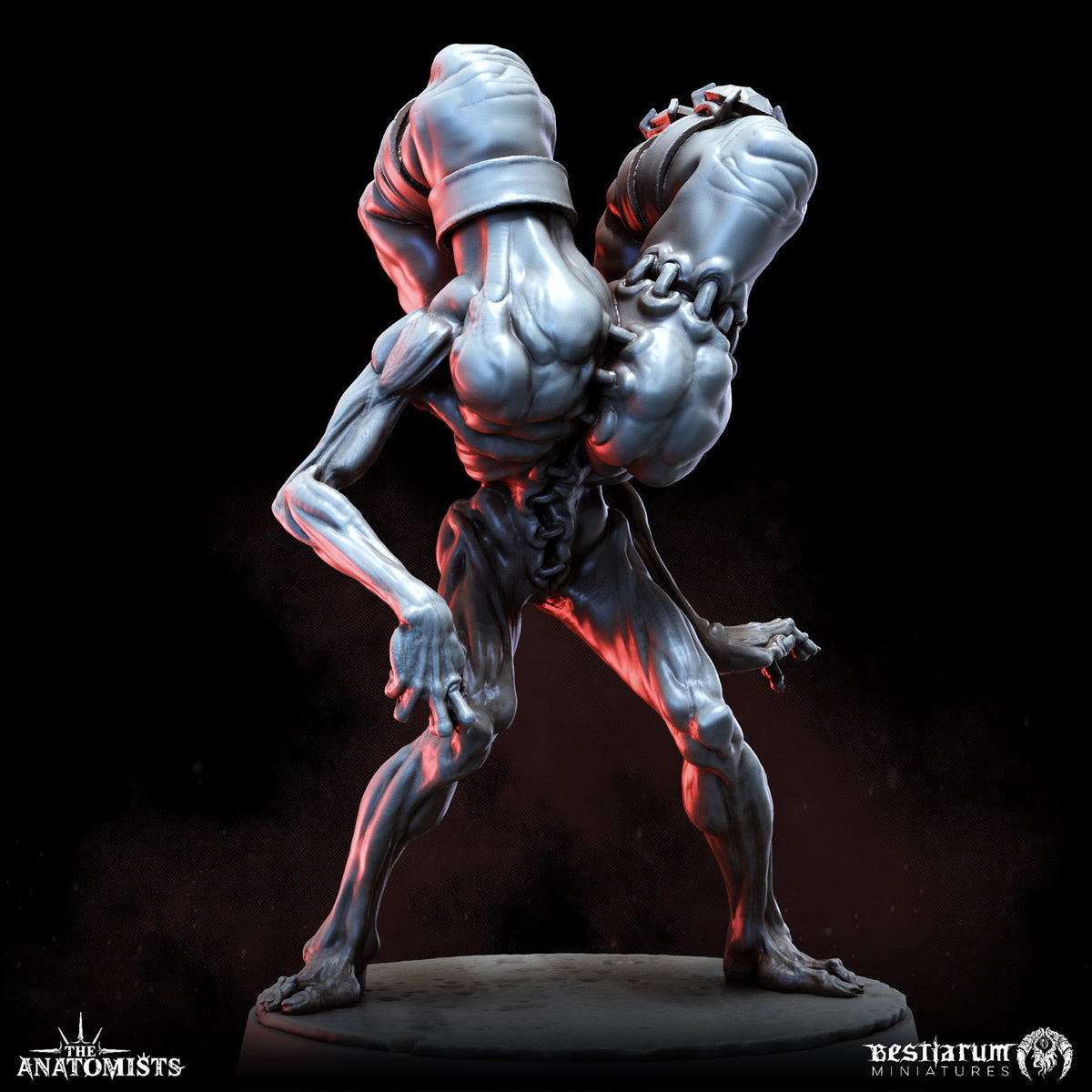 1903 The Anatomists Return_June2026 BM - STL 3D Print Files