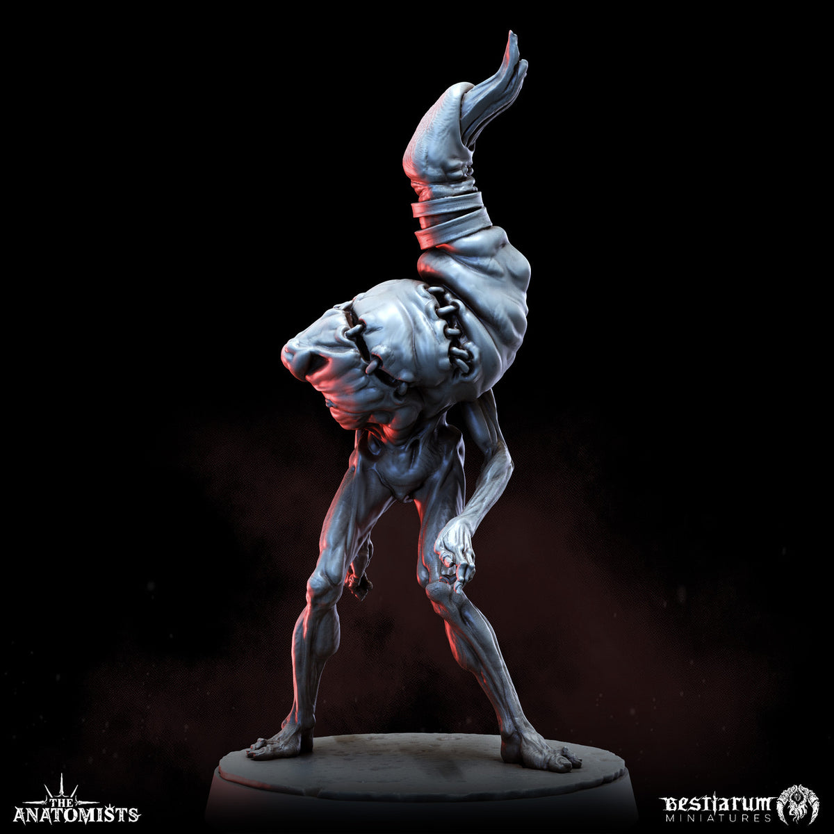 1903 The Anatomists Return_June2026 BM - STL 3D Print Files