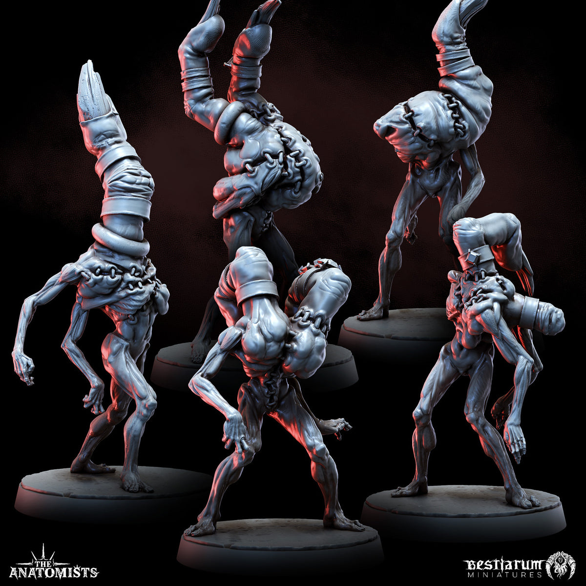 1903 The Anatomists Return_June2026 BM - STL 3D Print Files