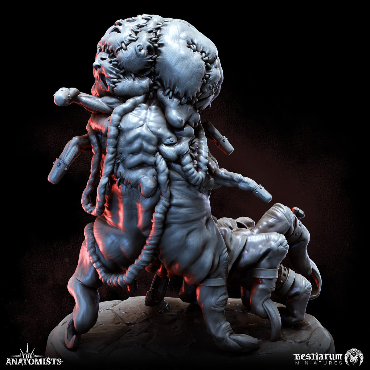 1903 The Anatomists Return_June2026 BM - STL 3D Print Files