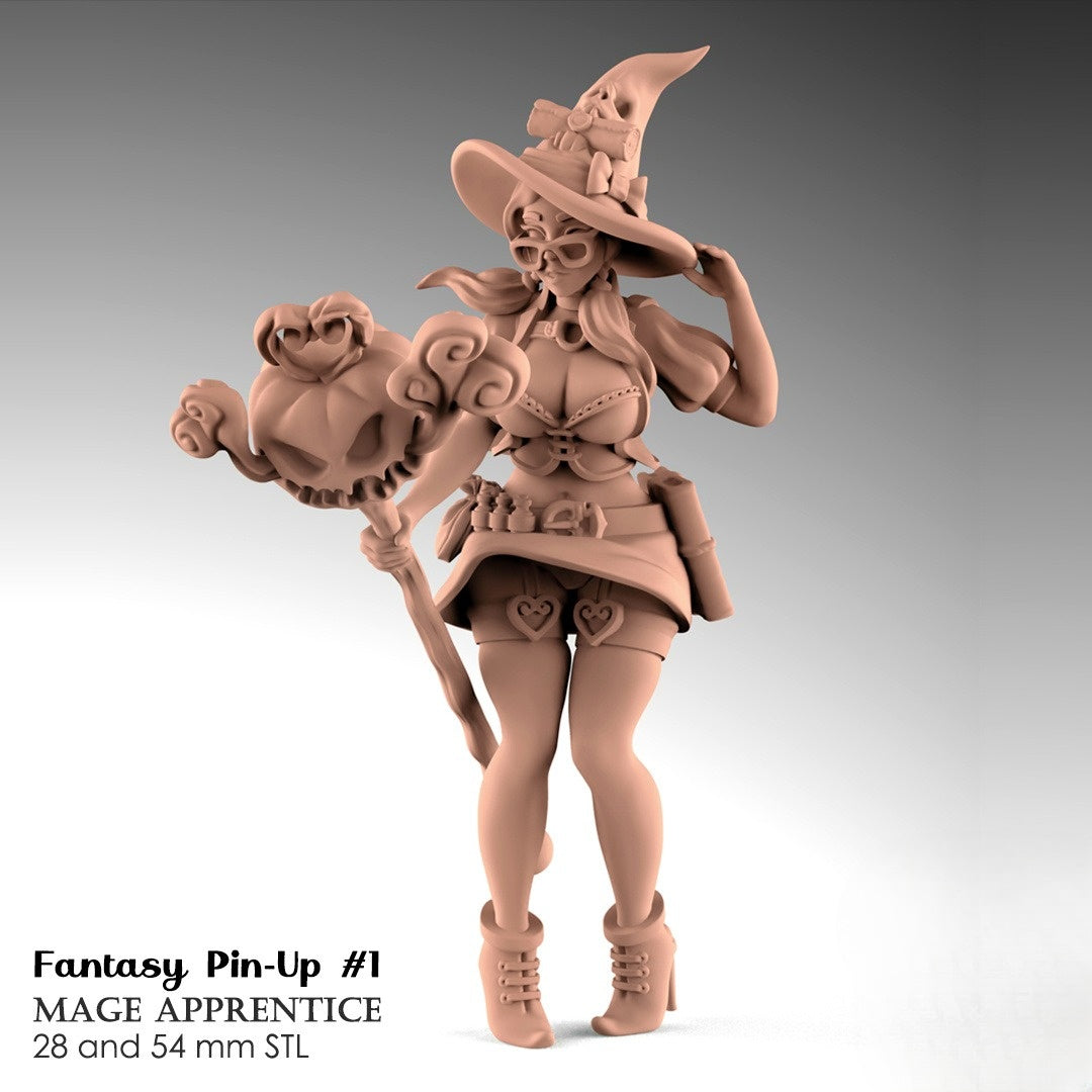 1219 Mage Apprentice_Fantasy Pin-up - STL 3D Print Files