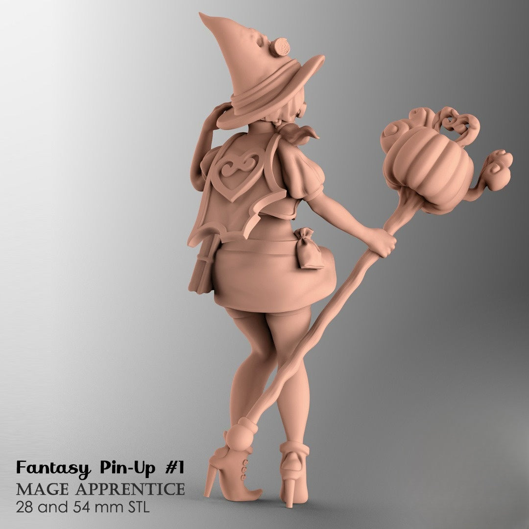1219 Mage Apprentice_Fantasy Pin-up - STL 3D Print Files