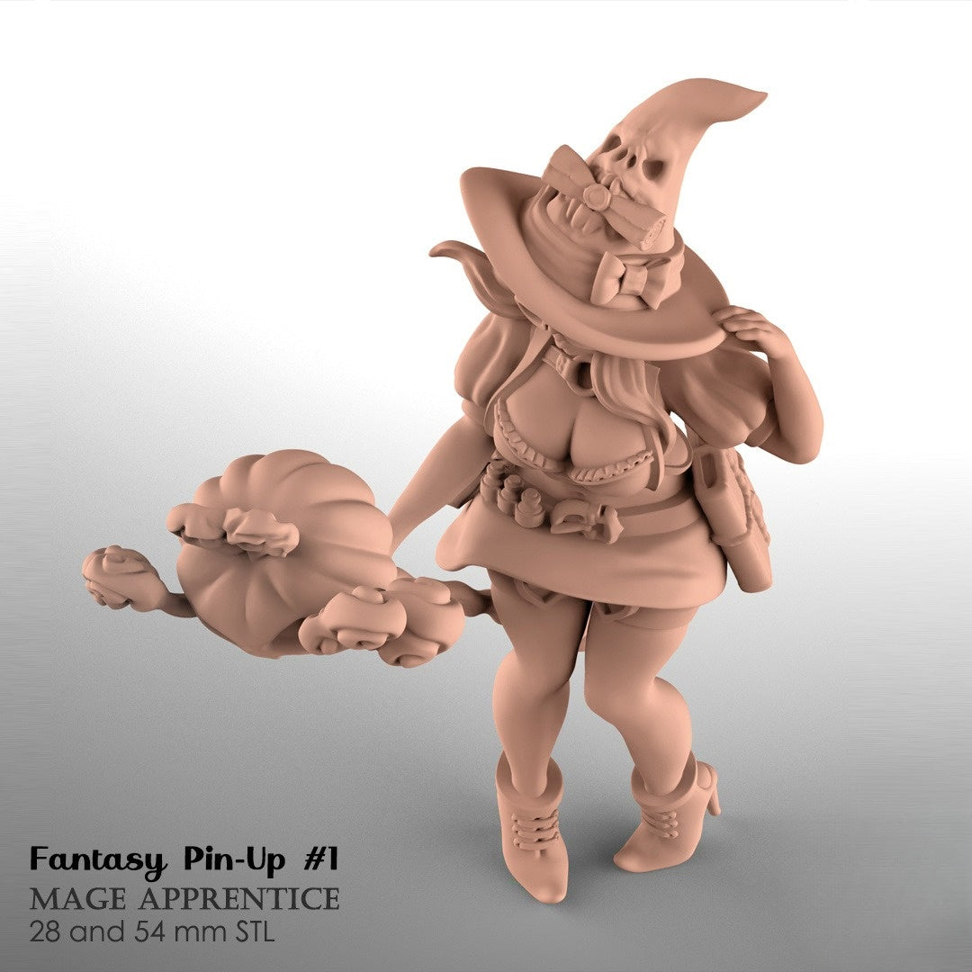 1219 Mage Apprentice_Fantasy Pin-up - STL 3D Print Files