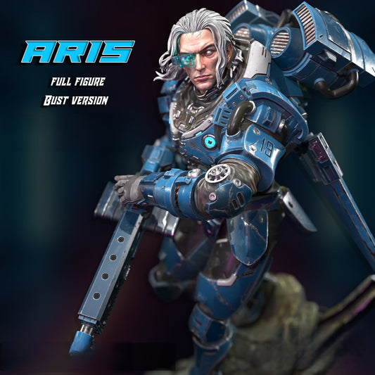 0677 Captain Aris - STL 3D Print Files