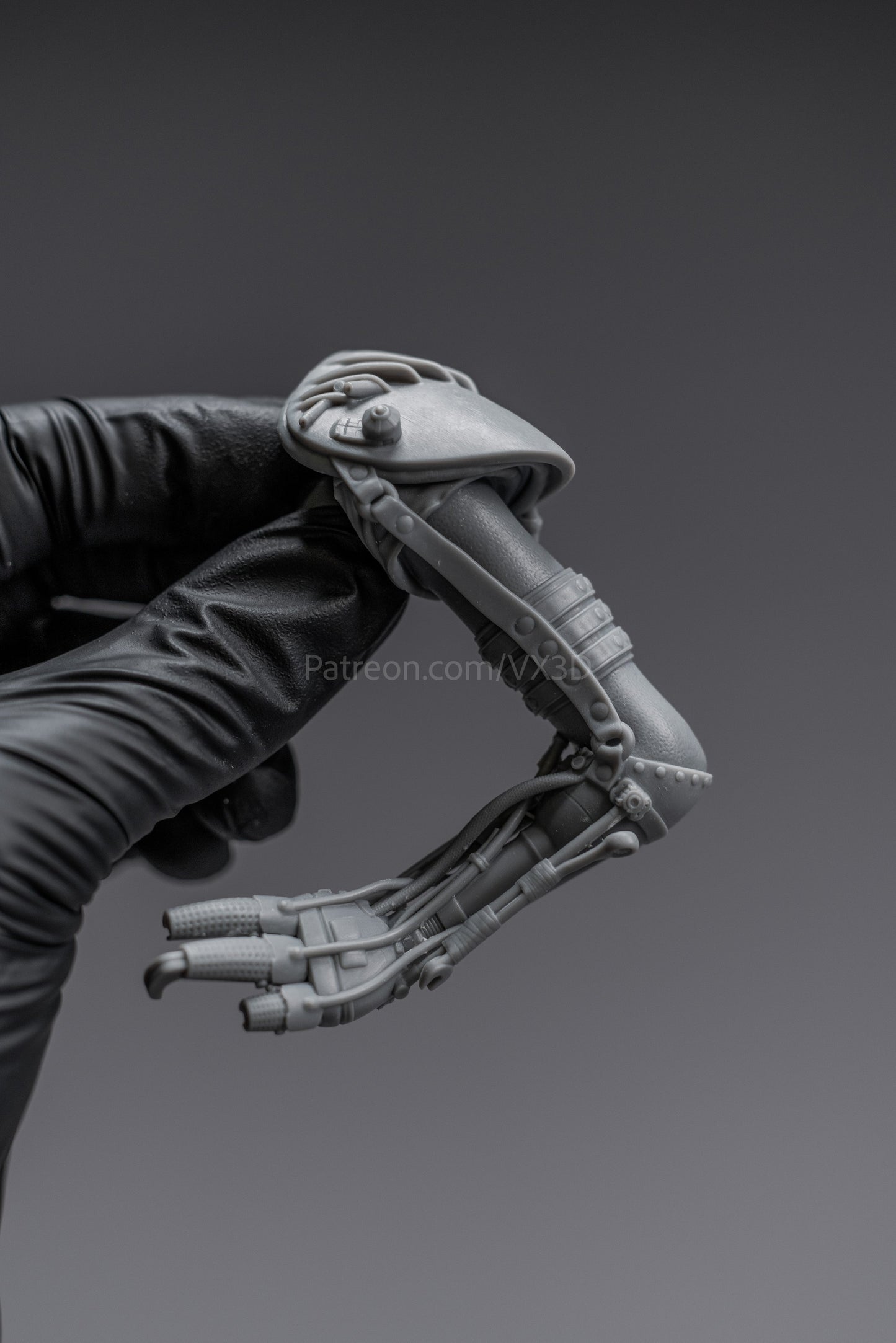 1695 Furiosa_A Mad Max Saga NSFW - STL 3D Print Files