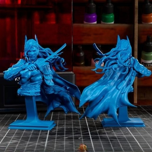 1655 BatGirl_Ronin - STL 3D Print Files