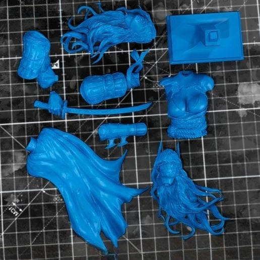 1655 BatGirl_Ronin - STL 3D Print Files