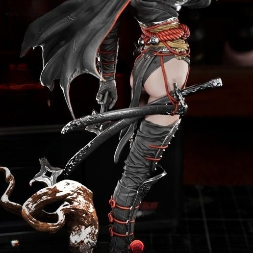 1655 BatGirl_Ronin - STL 3D Print Files