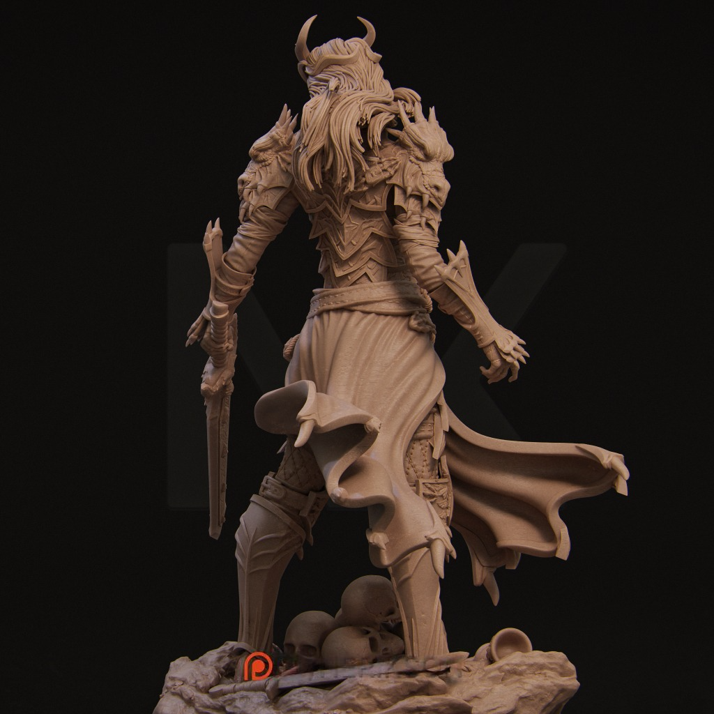 0957 Aleehra Warrior (2172) - STL 3D Print Files