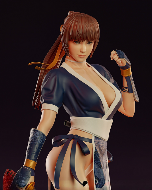 0915 Kasumi - Dead or Alive (2844) - STL 3D Print Files