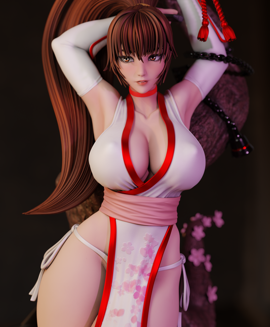 0862 Momiji_Ninja Gaiden NSFW - STL 3D Print Files