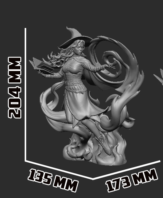1796 Tasha_Dungeons & Dragons - STL 3D Print Files
