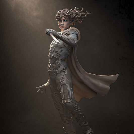 0987 Chani Kynes - Dune (2316) - STL 3D Print Files