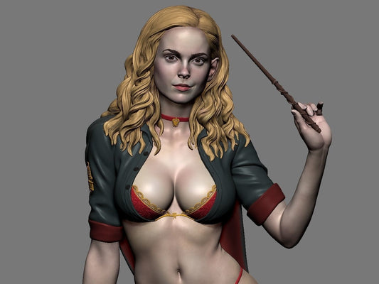 0659 Hermione Adult on the Broomstick - Harry Potter - STL 3D Print Files