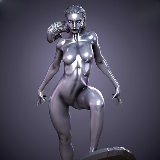1012 Silver_Surfer - STL 3D Print Files