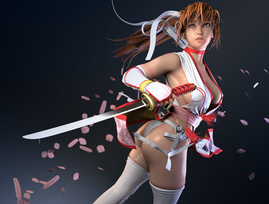 0167 Kasumi - Dead or Alive (1602) - STL 3D Print File