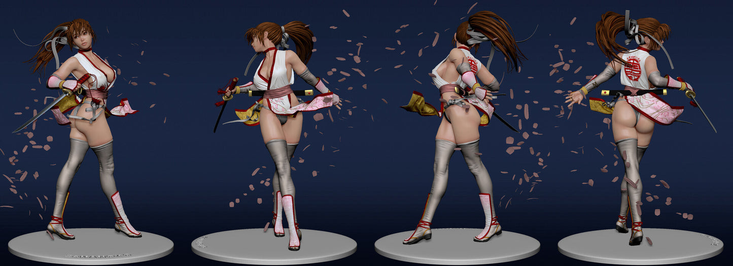 0167 Kasumi - Dead or Alive (1602) - STL 3D Print File
